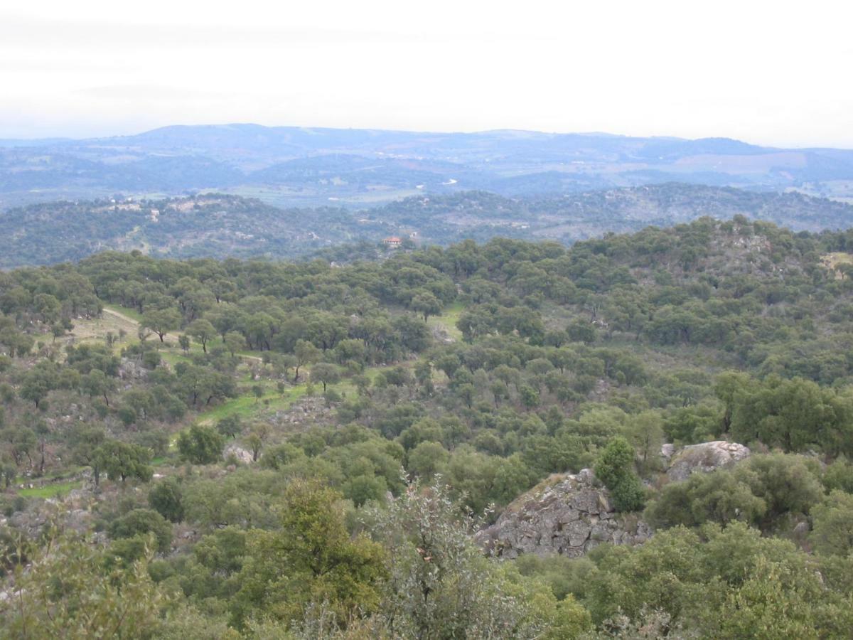 Rustica Para Ferias Μιραντέλα Εξωτερικό φωτογραφία